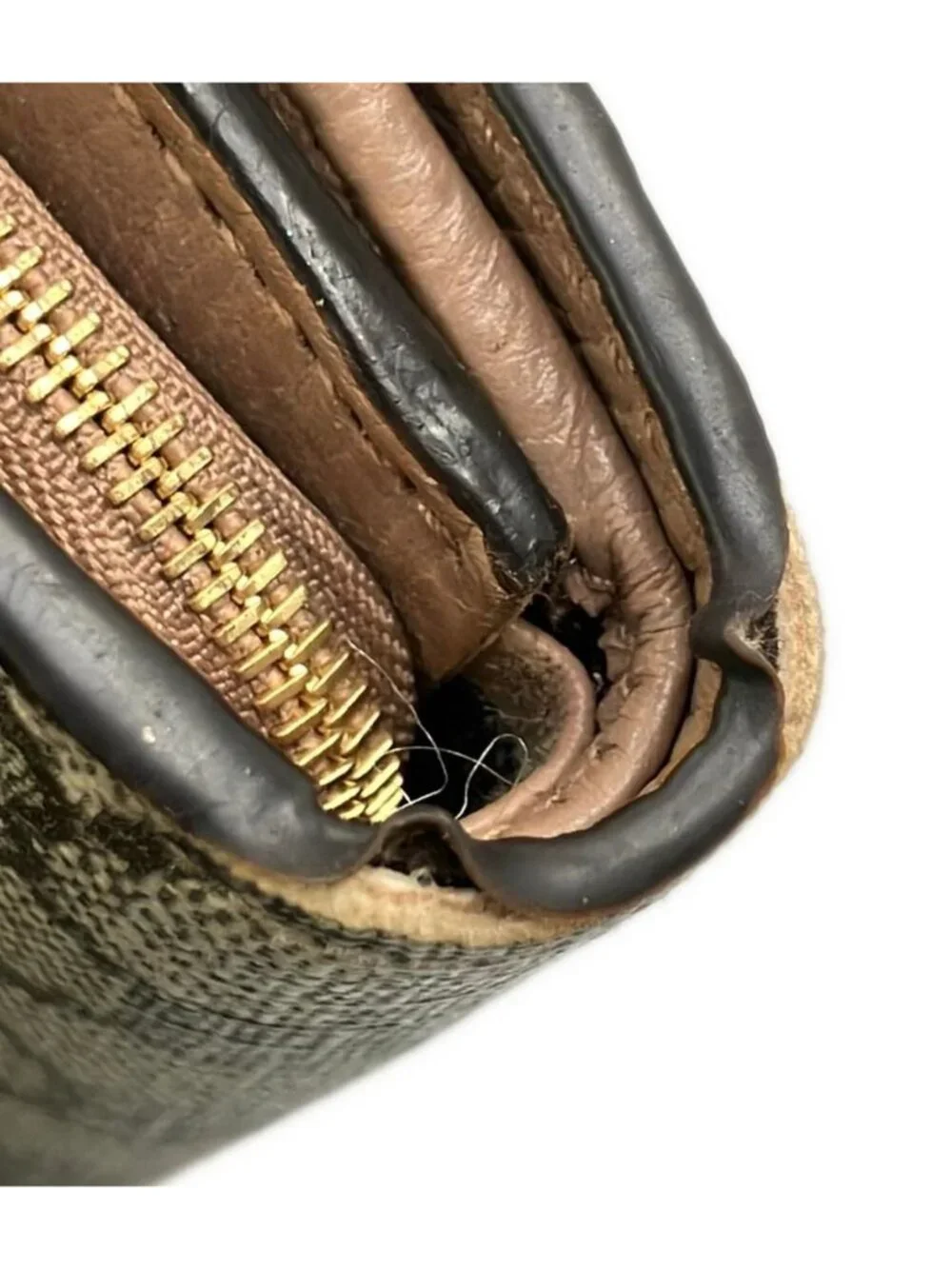 Gucci Bifold Wallet GG Marmont